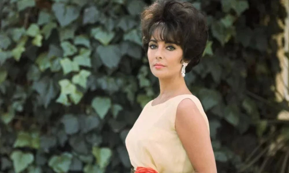 Ελίζαμπεθ Τέιλορ: Σε δημοπρασία το Christian Dior φόρεμα που φόρεσε στα Όσκαρ το 1961